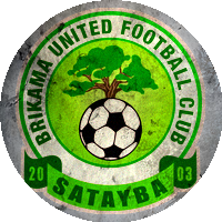 Logo Brikama United